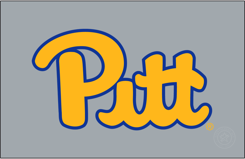 Pittsburgh Panthers 2019-Pres Primary Dark Logo v2 diy DTF decal sticker